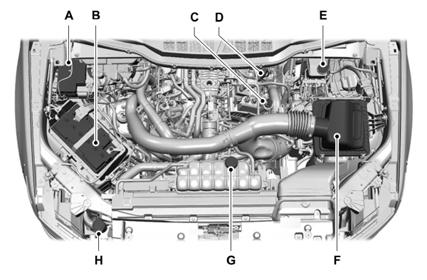 Image Shown Without Description