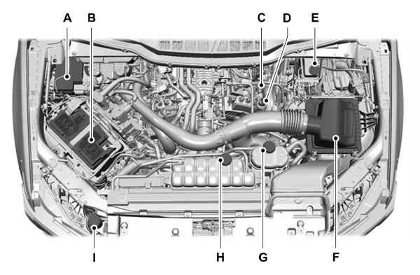Image Shown Without Description