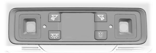 Image Shown Without Description