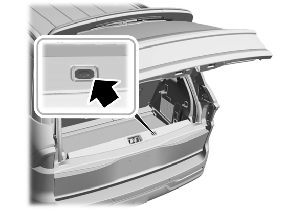 Image Shown Without Description