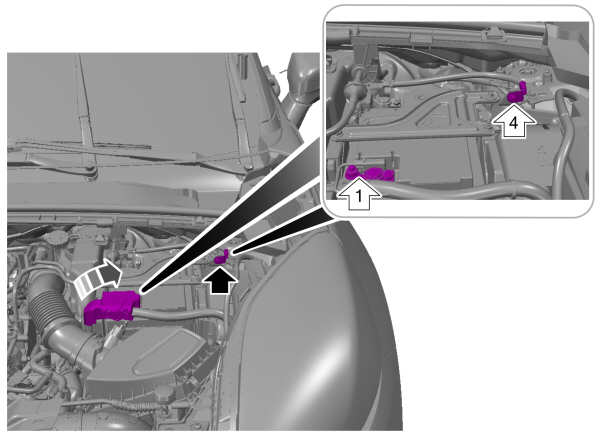 Image Shown Without Description