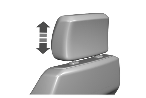 Image Shown Without Description