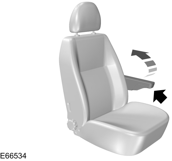 Image Shown Without Description