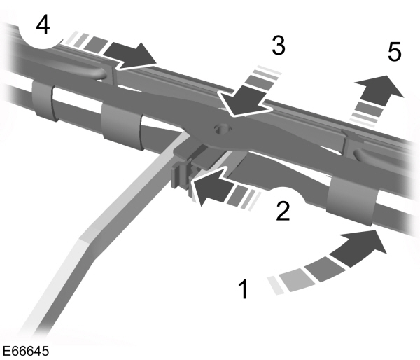 Image Shown Without Description