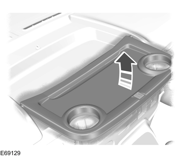 Image Shown Without Description