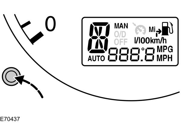 Image Shown Without Description