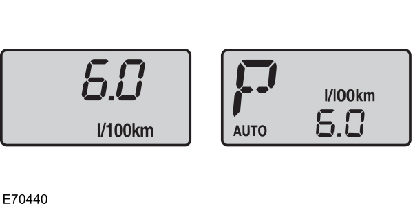 Image Shown Without Description