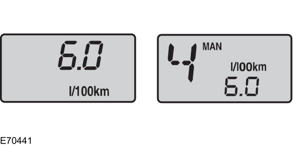 Image Shown Without Description