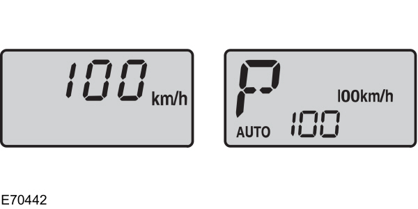 Image Shown Without Description