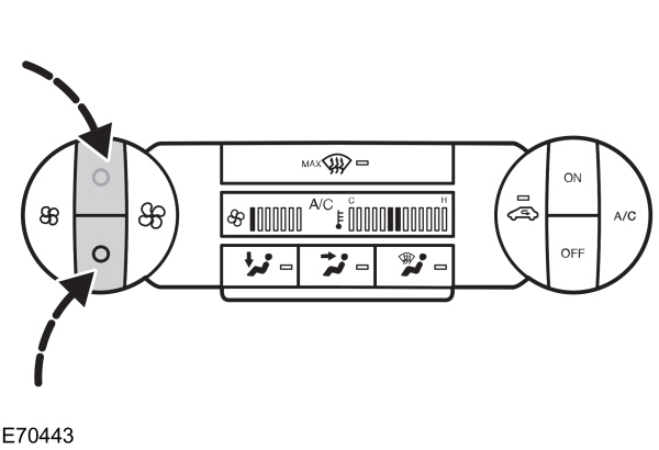Image Shown Without Description