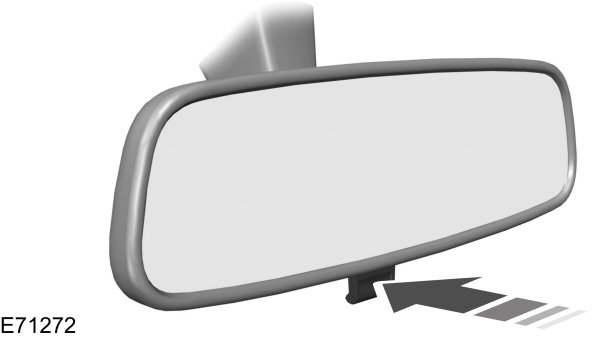 Image Shown Without Description