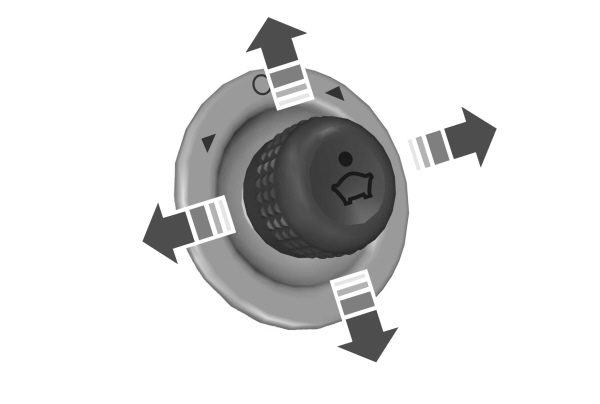 Image Shown Without Description