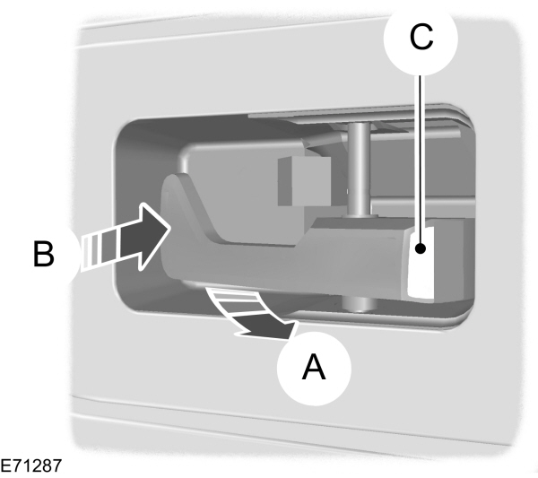 Image Shown Without Description