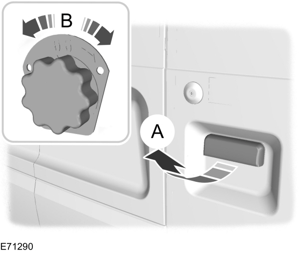 Image Shown Without Description