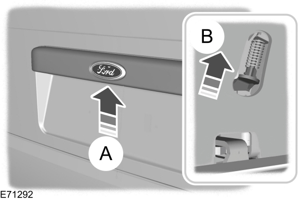 Image Shown Without Description