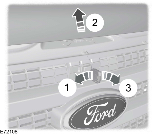 Image Shown Without Description