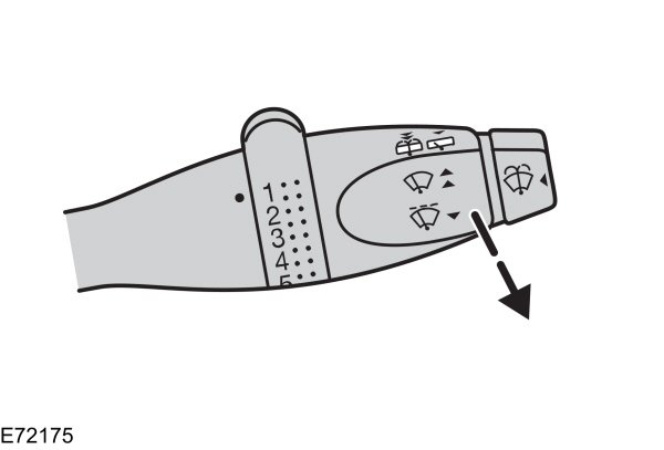 Image Shown Without Description