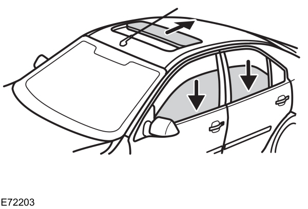 Image Shown Without Description