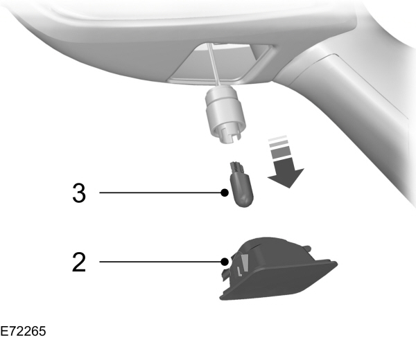 Image Shown Without Description