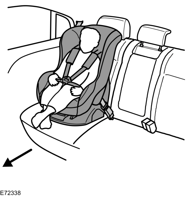 Image Shown Without Description