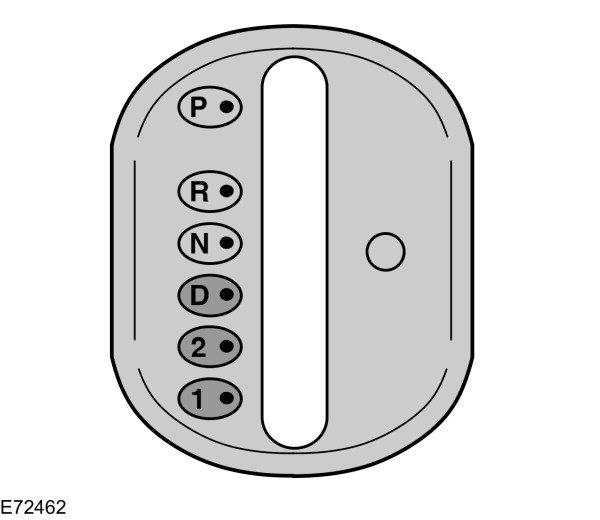 Image Shown Without Description