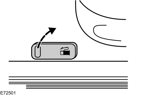 Image Shown Without Description