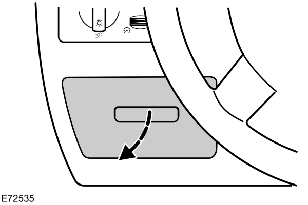 Image Shown Without Description