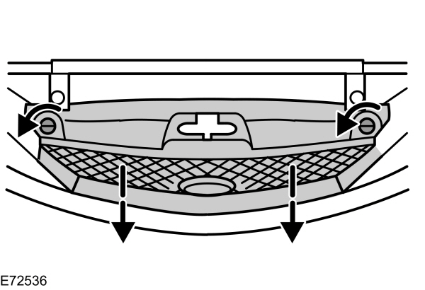 Image Shown Without Description