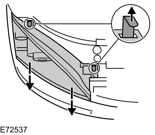 Image Shown Without Description