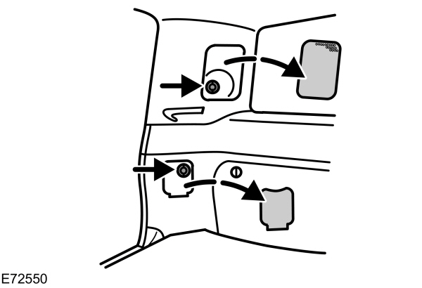 Image Shown Without Description