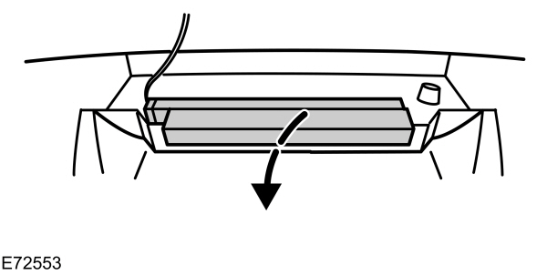 Image Shown Without Description