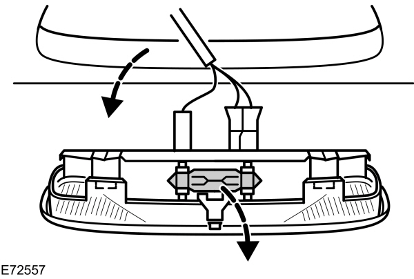Image Shown Without Description