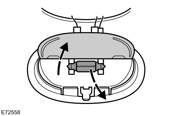 Image Shown Without Description
