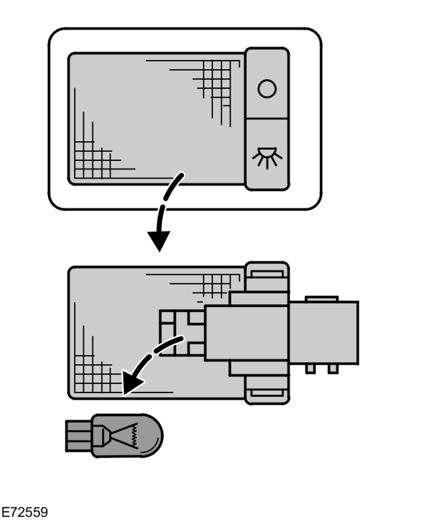 Image Shown Without Description