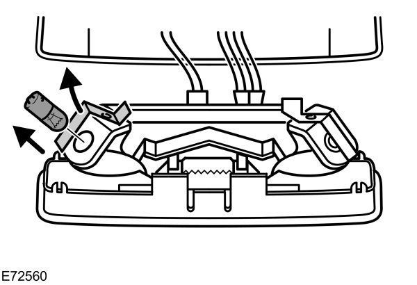 Image Shown Without Description