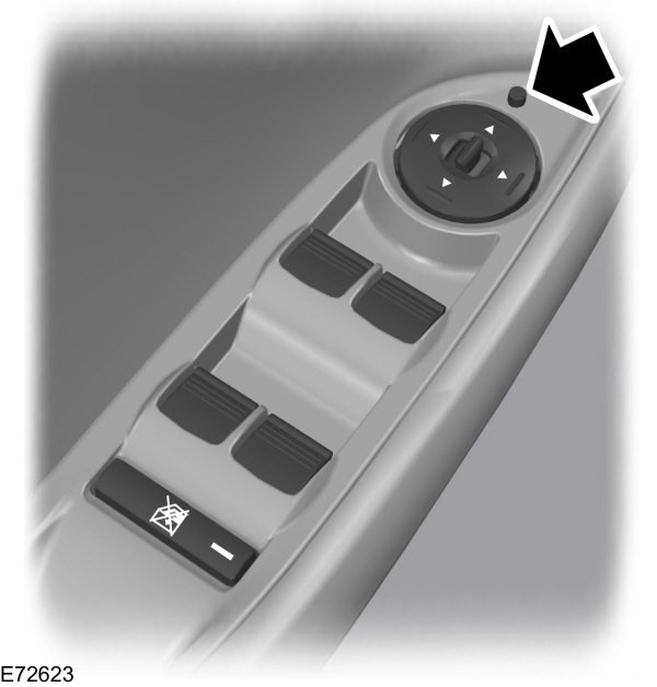 Image Shown Without Description