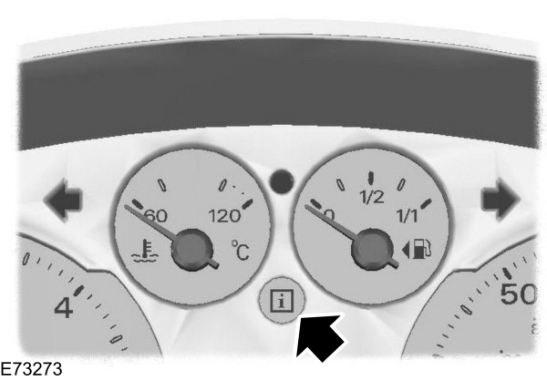 Image Shown Without Description