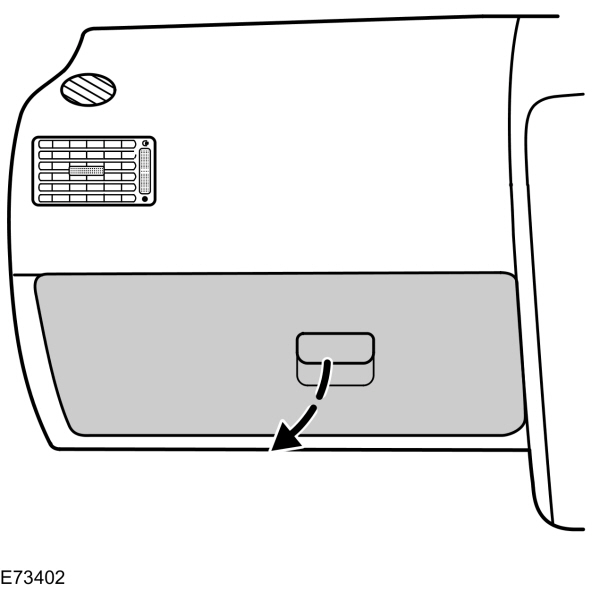 Image Shown Without Description