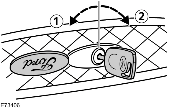 Image Shown Without Description