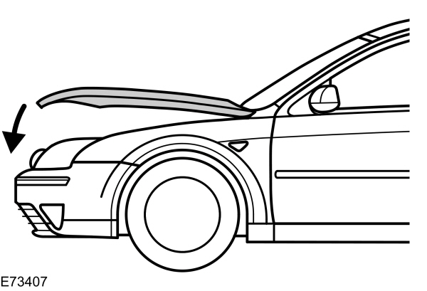 Image Shown Without Description