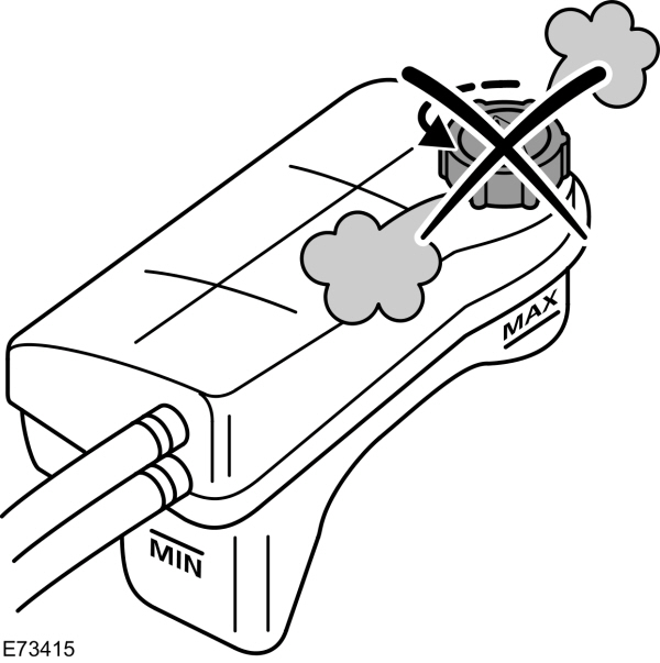 Image Shown Without Description