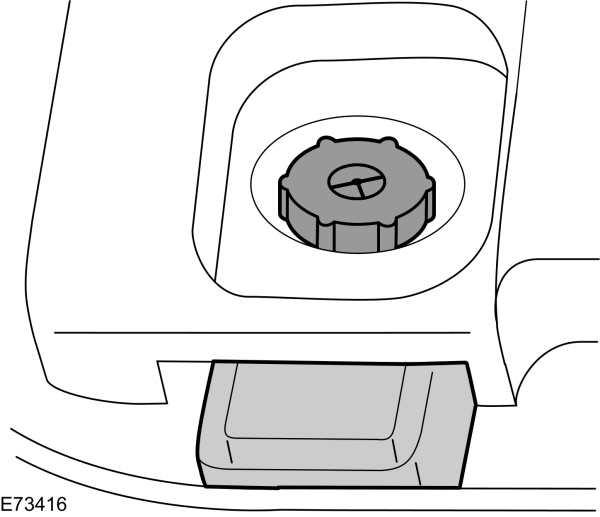 Image Shown Without Description