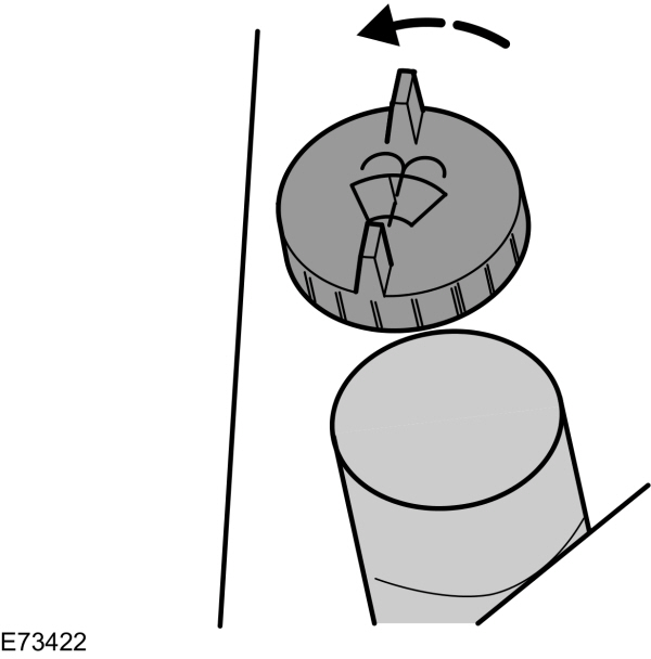 Image Shown Without Description