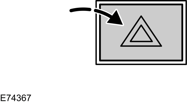 Image Shown Without Description