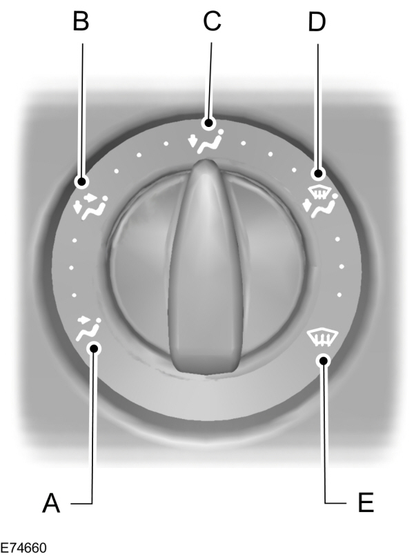 Image Shown Without Description