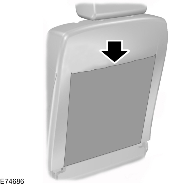 Image Shown Without Description