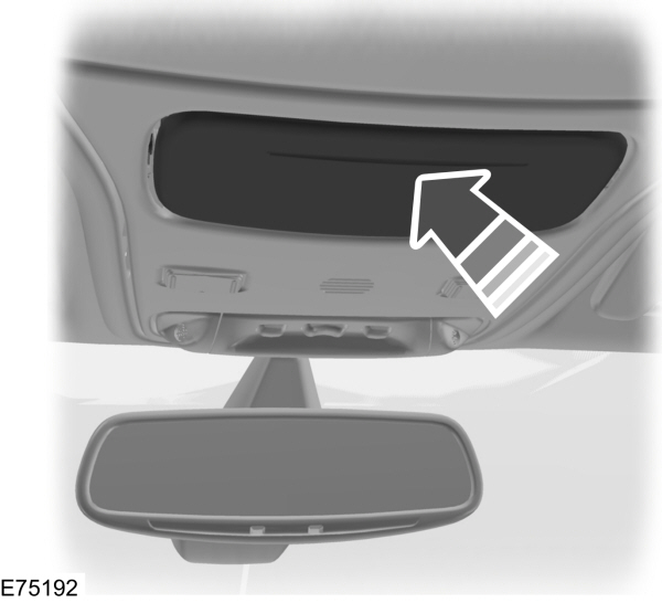 Image Shown Without Description