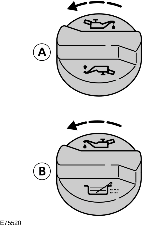 Image Shown Without Description