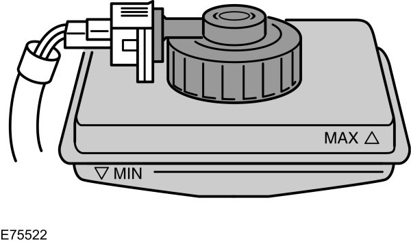 Image Shown Without Description