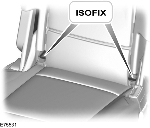 Image Shown Without Description